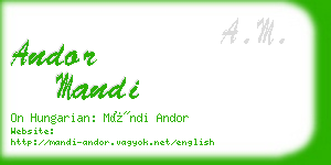 andor mandi business card